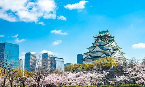 11-Night Japan Tour w/Air & More