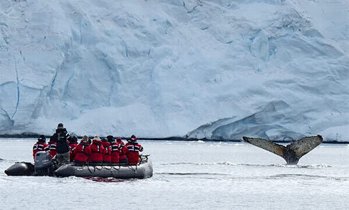 Antarctica: 10-Night Expedition Cruise w/Excursions, Meals & More