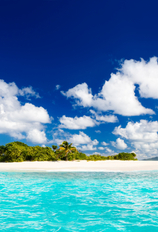 7 Night Western Caribbean