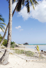7 Night Cozumel & Bahamas