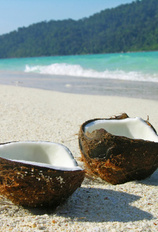 Walk Like an Egyptian, Cairo and Red Sea W/Air